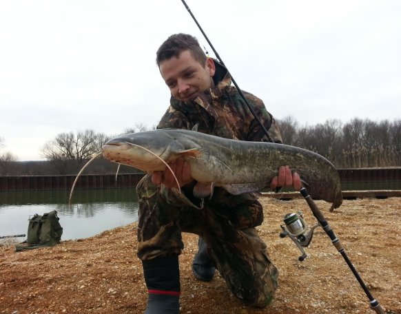 Kis Tamás horgásztársunk szerencsés idei első pergetésének eredménye mai nap  egy szép 80 cm-es harcsa. Szívből gratulálunk!