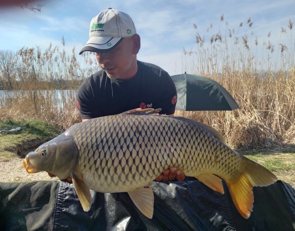 Kovács Csaba barátommal kilátogattunk egy rapid pecára szeretett tavunkra.
1 órán belül már jelenjezett is egy közös képre😃C&R