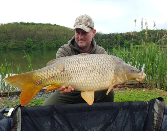 Mozsár Gábor horgásztársunk küldte a napokban a következő csodálatos fogásokat, melyeket Garamvári Sándor barátjával együtt fogtak  a Gersekaráti Sárvíz-tavon  egy májusi bojlis túra alkalmával.  A pontyok között volt 8-11-15 kg-os példány is. Szívből gratulálunk a szép fogásokhoz!