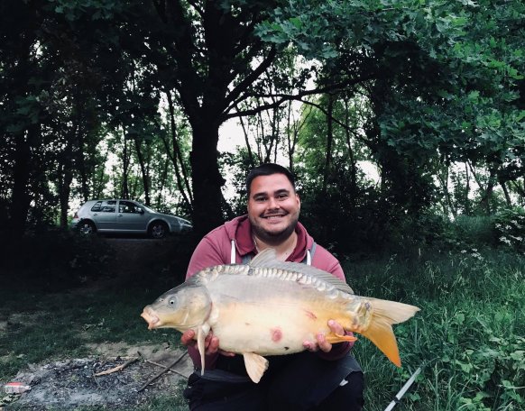 Foto elkeszulte utan visszanyerte szabadsagat!
Serulesei fertotlenitesre kerultek.