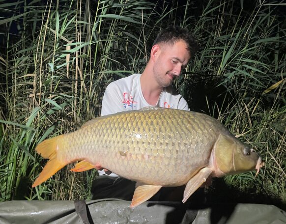 Kosijer Mario  horgásztársunk (DS-Baits Österreich) fogta a Gersekaráti tavon a képeken látható csodálatos pontyot. 😊