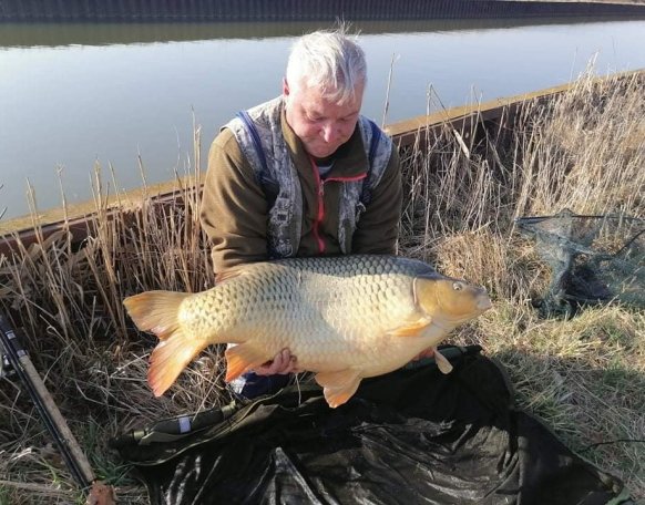 Büki Csaba  horgásztársunk fogta ezt a szép 20+ -os pontyot a Rába folyó ikervári csatornán, melyhez ezúton is gratulálunk! A hal egy gyors fotózást követően visszaengedésre került!