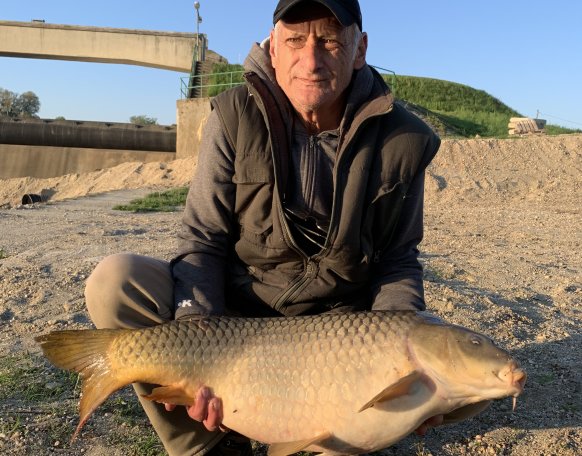 2019.04.21-én fogta Szélesi Csaba celldömölki horgásztársunk feeder bottal, sportcarp pellet csalival a reggeli órákban a képen látható rábai pontyot. Nagyon szép egészséges és feltűnően jól táplált volt a hal. Visszanyerte szabadságát a hal. Szívből gratulálunk!