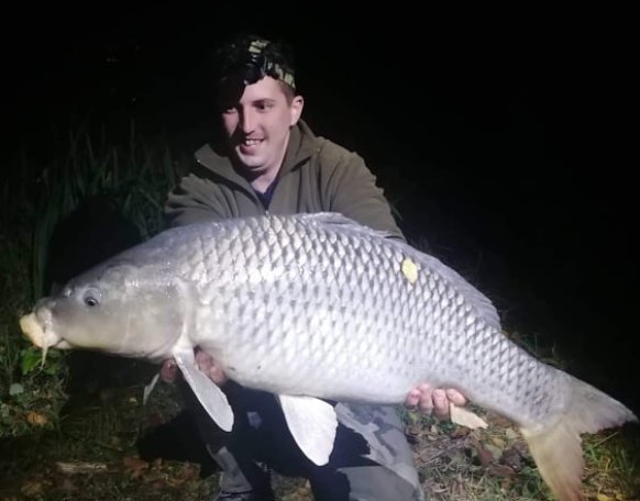 Faller Tamás horgásztársunk fogta ezt a pár gramm híján 13 kg-os pontyot a szombathelyi Horgász-tavon a Sasvári családdal együtt horgászva október 12-én este. Erőteljes kapással érkezett ez a szép ponty, bojlival csalizva . Kb. 10-15 perces fárasztas után került partra, mérlegelést követően vissza nyerte szabadságát.