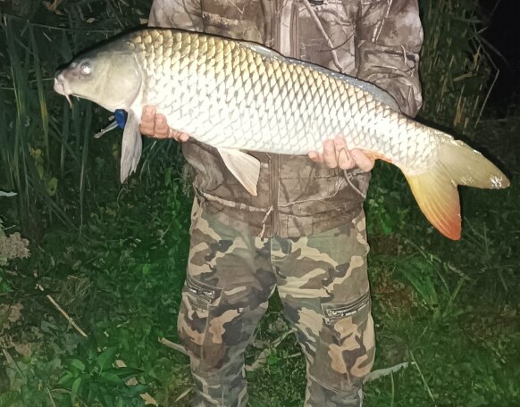 Reggeli nyurga,gyönyörű😀👍🍀