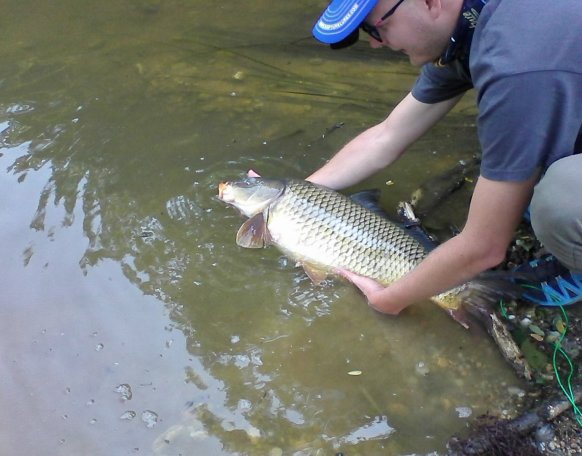 Farkas Tamás  szombathelyi horgász reggel 8 óra előtt érkezett a Vadása-tóhoz, majd  a felső tározón  kenyér csalira kapás és egy szép ponty került horgára.. Fotózás, mérlegelést követően a hal vissza nyerte szabadságát.Pontos súlya 7,10 kg és hossza 67 cm volt. Ezúton köszönöm Dr. Dobrotka László Sporttárs segítségét fotó és videó készítésnél.