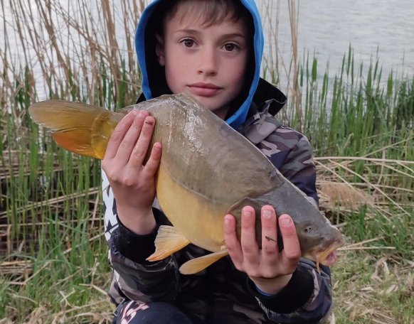 Ferencz Olivér fiatal pecásunk fogta ezt a 4.2kg-os tükörpontyot a Gersekaráti horgásztavon, ami kifogása után vissza is került a tó élő világába, melyet köszönünk!