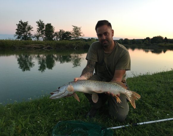 Sötétedés előtt sikerült megfogni.
4-5 perc fárasztás után szákba került
Csali: twister