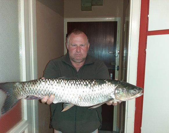 Este 8 órakor jött a torpedó.