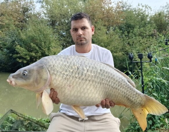 carp