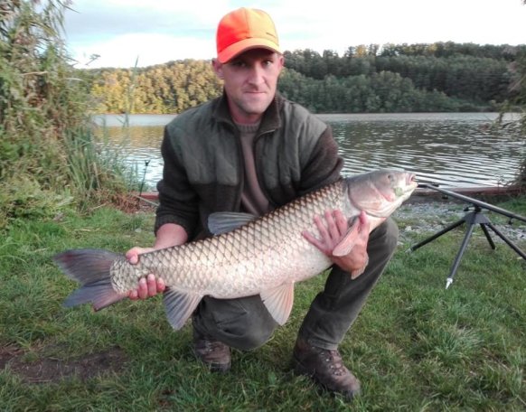 Takács Péter horgásztársunk a Sárvíz tavon fogta a képen látható 11 kg-os amurt.