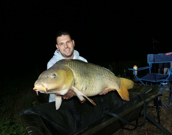 carp