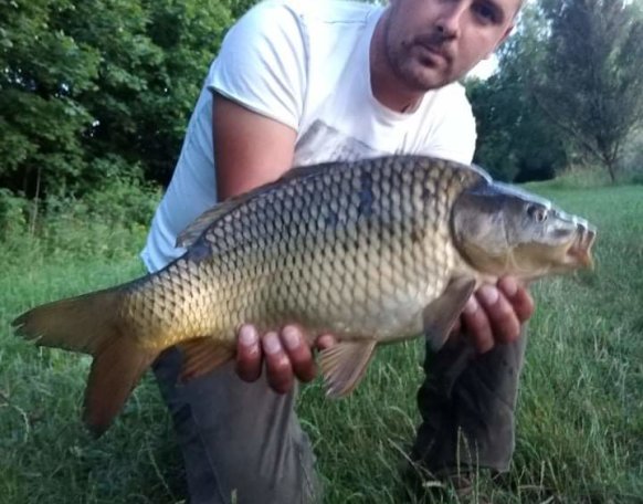 6 nap a Csánigi tavon csali négy szem gumi kukorica 
Etetés bojli pelet kukorica