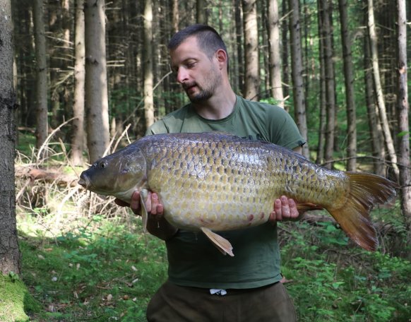 Németh Péter horgásztársunk 15+ -os pontyokat fogott a vasi vizeken, szívből gratulálunk! 
Péter beszámolója az alábbiakban olvasható: "6 évembe tellett mire megtaláltam amit kerestem Vas megye szövetségi vizein. Sok sikertelen próbálkozás még több füstbe ment idő, amatőr hibák, vakvágányok, pechszériák után ismét sikerült 15kg fölé jutni 2szer is egyetlen horgászat alatt. Már csak egy megyei 20+ hiányzik a listából.