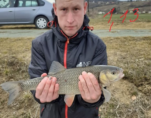 Ma délután pop up csalival fogtam ezt a szép domolykót.