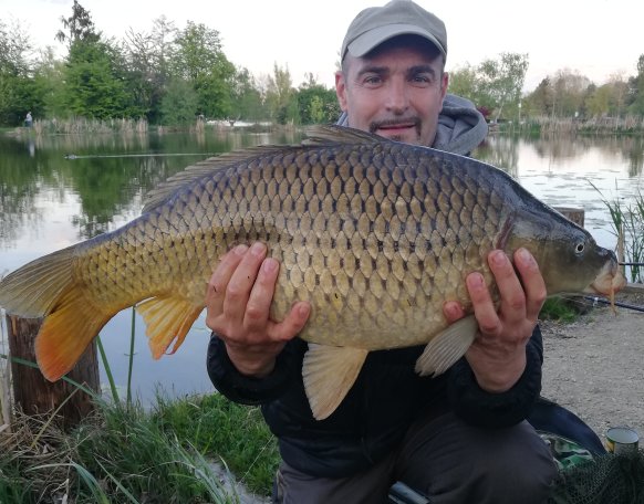 Felejthetetlen élmény... 🦈