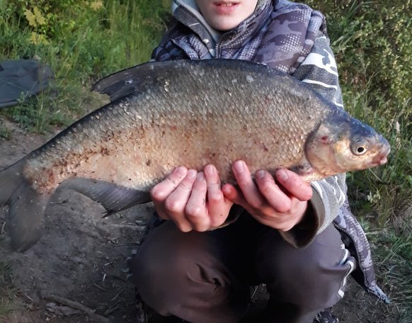 Spiccbotos szerelék, csonti csokor.