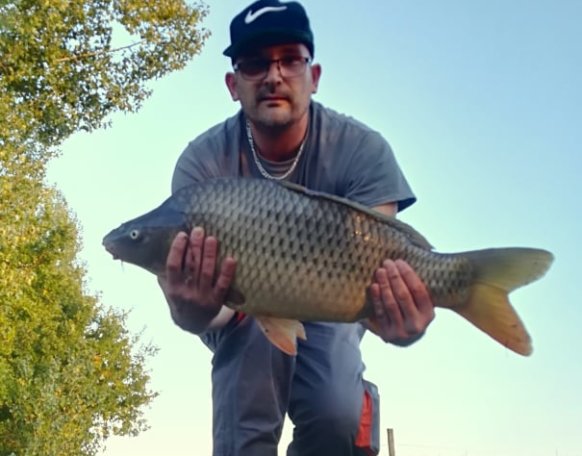 Hajós János horgásztársunk fogta ezt szép 7 kg-os pontyot a Magyarszecsődi tavon. A hal fényképezés után azonnal visszaengedésre került a tóba.