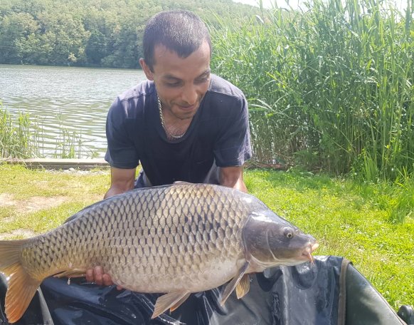 Molnár Tamás horgásztársunk május 27-én pénteken fogta ezt a méretes, 10.30 kg-os pikelyest a Gersekaráti Sárviz-tavon!