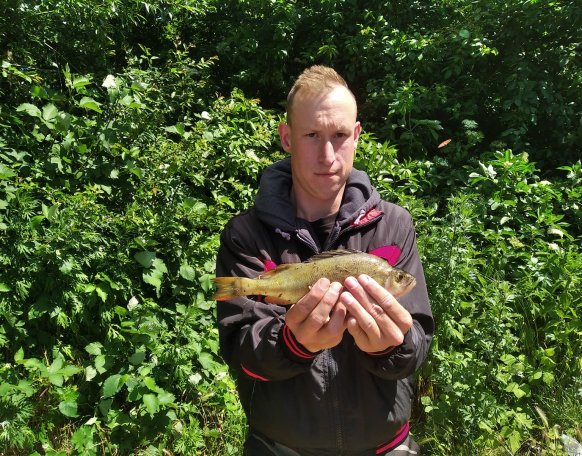 Feederbottal, pop up csalival fogtam ezt a szép sügeret. Fotó után visszanyerte szabadságát