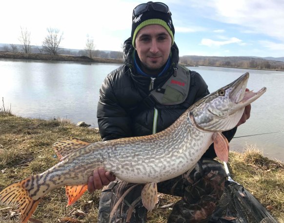 Gumihallal pergetve sikerült fogni! 😉