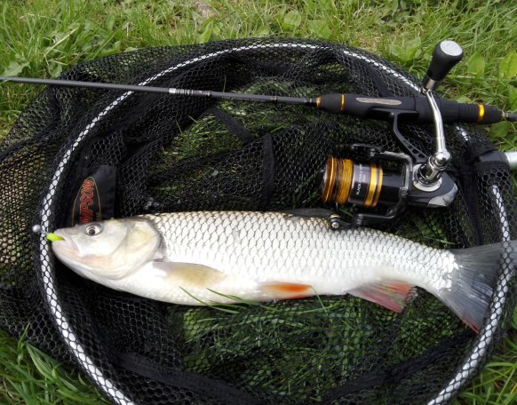 Fogd meg és engedd vissza!!!!