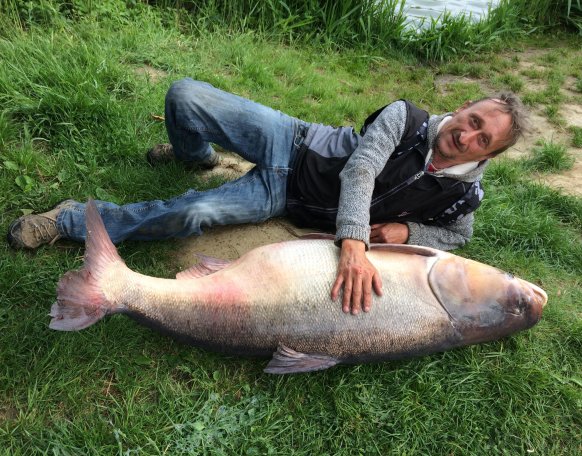 Pergetés közben, (twister).. köpemybe akadt, vagyis farok uszóba. 10 gr-s pergető bottal. 0.08 fonott zsinórral 2 óra 46 percig tartó fárasztással sikerült segítséggel partra emelni!
Sajnos a hal nem nagyon adott életjelet a fárasztás után, ezért a halőrökkel történt eszmecsere után döntöttem az elvitele mellett: A halat megpucolás után, másnap a kint lévő horgásztársak között elosztottam!