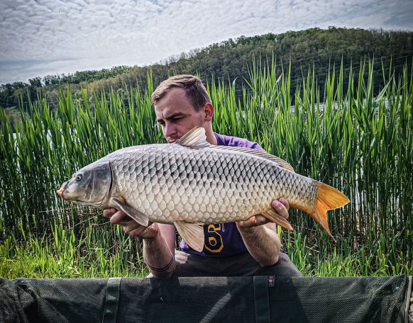 Ezt a szép 7kg  tövest sikerült szákba terelni