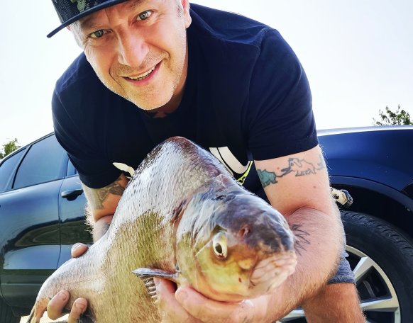 Éjszaka jött kukoricára