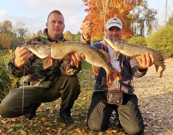 Salamon Attila és Farsang Rajmund horgásztársunk csukákkal az őszi színekben pompázó Szombathelyi Csónakázó-tavon. Szívből gratulálunk!