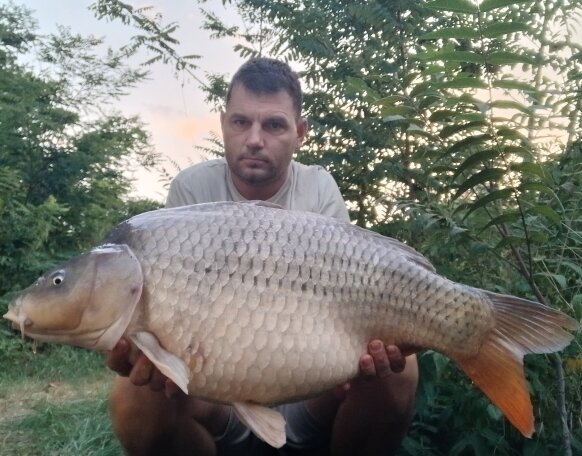carp