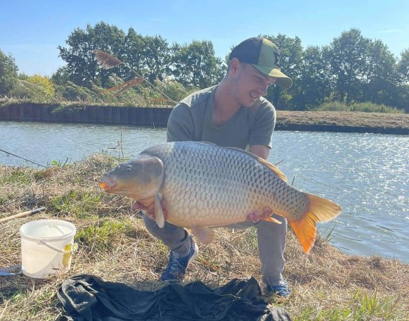 Déli órákba, erőteljes húzós kapással jelentkezett.
Feeder bottal, method készséggel, kb negyed órás fárasztást követően sikerült szákba terelni.
Mérlegelés és fotózás után visszanyerte a szabadtságát.