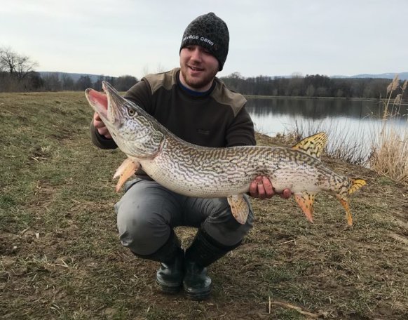 Balogh Szabolcs horgásztársunk a mai napon fogta a képen látható 7+-os csukát az Abért tavon. Gratulálunk!