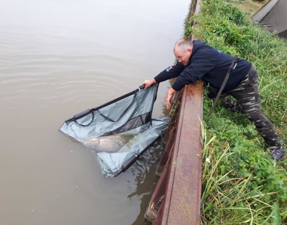 Hat napot töltöttem ezen a gyönyörű vad vízen. Három darab 10 kg feletti Pontyot sikerül kifognom. Nagy örömömre egy 2.70 kg súlyú Márna is tiszteletét tette nálam. Életem egyik nagy történése volt ez a pár nap. Dacolva kánikulával, és özönvíz szerű esővel. Köszönöm az élményt, köszönöm ,hogy itt lehettem '!!!!!