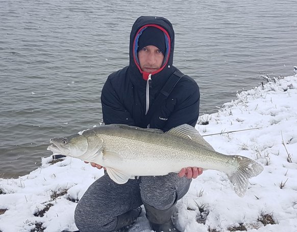 Vincze Péter mai napon pergetve fogta az Abért tavon ezt a csodálatos 70 cm-es süllőt. Gratulálunk!