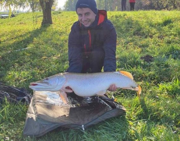 Dr. Braun Szilveszter horgásztársunk fogta az alábbi szép csukát az Abért I-es tavon.