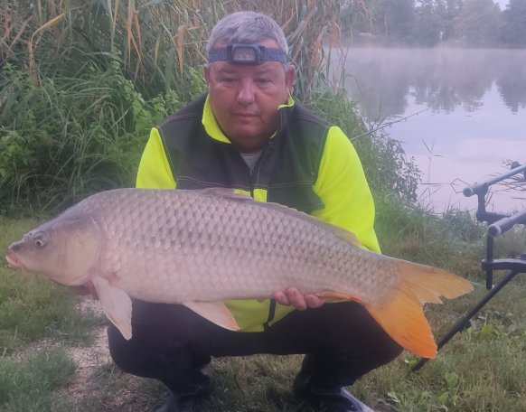 Mai reggel sikerült a második nagytestű pontyot is (07.45kor 84cm 13kg )megszákolni mérés után kíméletessen visszahelyezte.