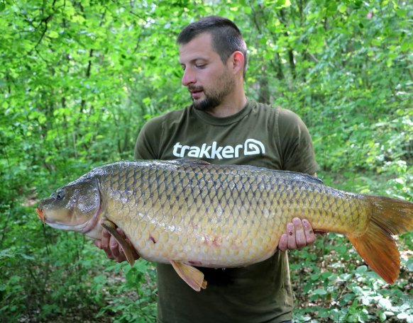 Németh Péter horgásztársunk 15+ -os pontyokat fogott a vasi vizeken, szívből gratulálunk! 
Péter beszámolója az alábbiakban olvasható: "6 évembe tellett mire megtaláltam amit kerestem Vas megye szövetségi vizein. Sok sikertelen próbálkozás még több füstbe ment idő, amatőr hibák, vakvágányok, pechszériák után ismét sikerült 15kg fölé jutni 2szer is egyetlen horgászat alatt. Már csak egy megyei 20+ hiányzik a listából.