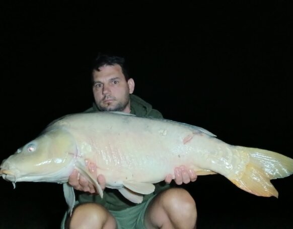 carp
