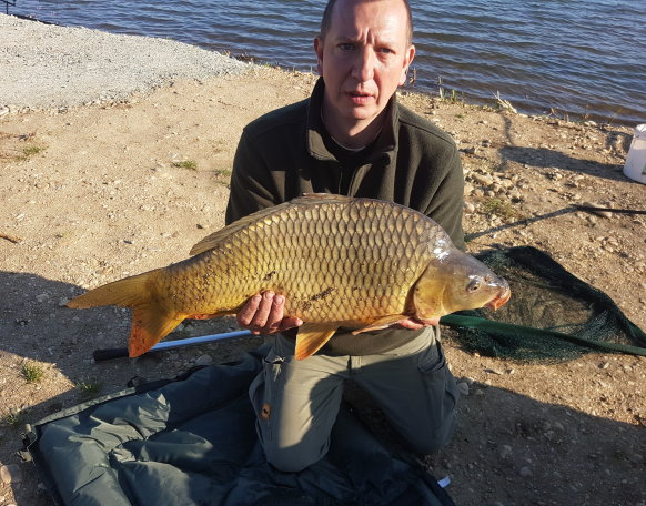 Délután 5 órakor felvette a mézes gumikukoricát. 5 perc fárasztás után ponty matracra került.Mérlegelés és vissza a tóba😉🦈🐟