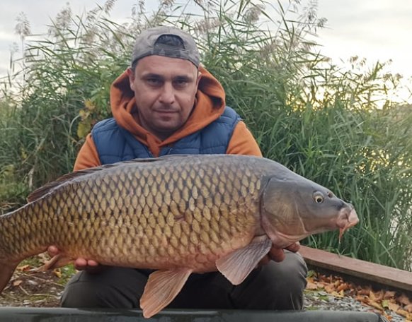 Takács Gábor horgásztársunk ezzel a 10+ kg-os ponttyal köszön el a 2021-es horgász évadtól. Nagyszerű zárás, gratulálunk!
