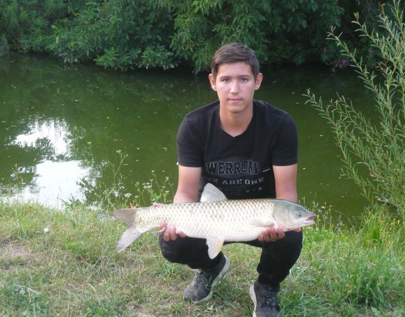 Egy fotó után visszanyerte a szabadságát.