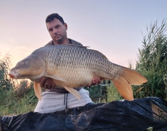carp