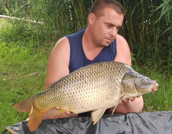 Takács Gábor horgásztársunk egy újabb baráti pecán van túl. Több halvesztés mellet azért sikerült újra pár szép halat elcsípni 6 és 11.5kg között!