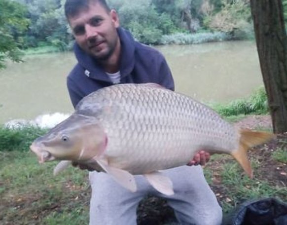 Tóth Tibor horgásztársunk fogta ezt a 14,15kg-os pontyot a Rába folyón, melyhez szívből gratulálunk! 👏