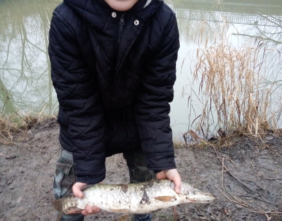 Első csuka az életembe.
Vissza lett engedve.