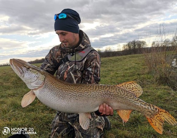 Kiss Miklós horgásztársunknak gratulálunk a csodálatos karácsonyi csukafogáshoz.