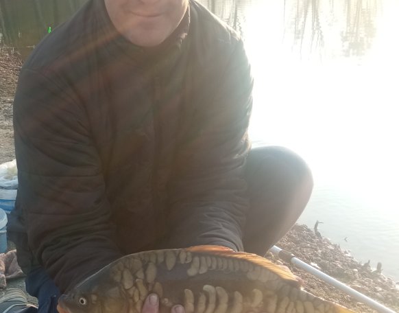 Spanyol táncos úszik rovább