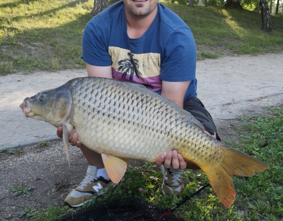 Igazi örömpecában volt részem. A 9kg-os ponty mellett sikerült még 3db 2-3 kg-os pontyot, valamint egy gyönyörű 1,2kg-os compót és 15-20 db dévérkeszeget is elcsípni method feder módszerrel 3 óra leforgása alatt. A halak visszanyerték szabadságukat. 
Üdv. Kercza Norbert