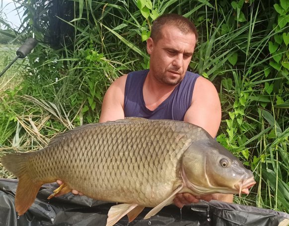 Takács Gábor horgásztársunk egy újabb rövid egynapos pecàra érkezett a gersekaràti tóra, ahol több kisebb ponty mellet hàrom szebb, méretesebb hal is meglátogatta egy fotó erejéig! 
Gratulálunk!